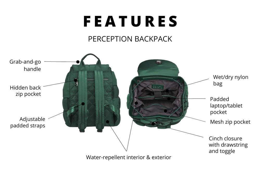 PERCEPTION BACKPACK