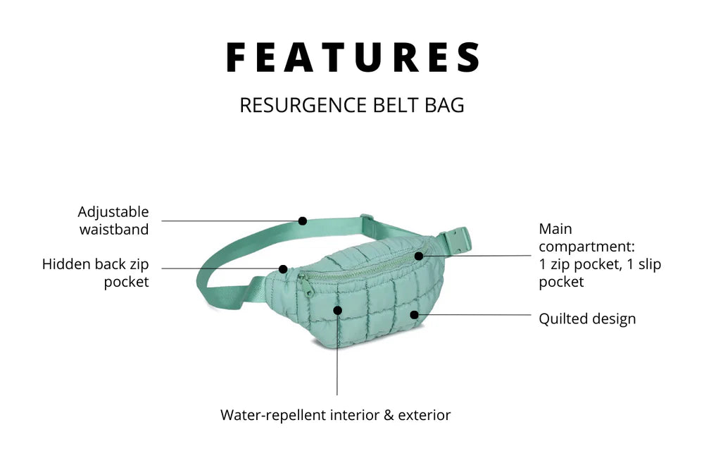 RESURGENCE BELT BAG